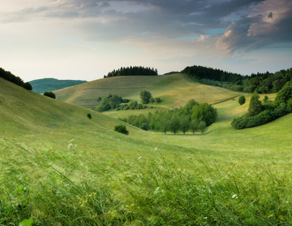 Get your money back! services 02